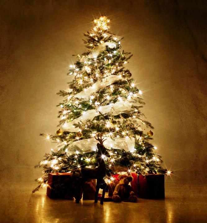 22-Christmas Tree Lights