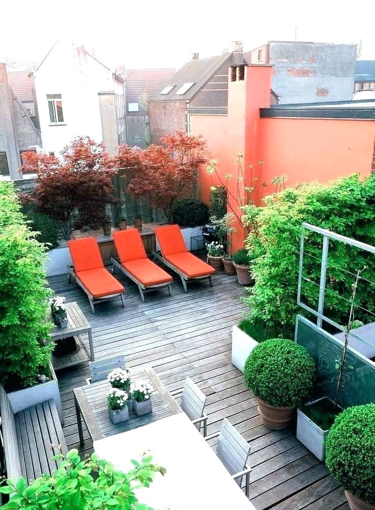 Urban Roof Garden Ideas