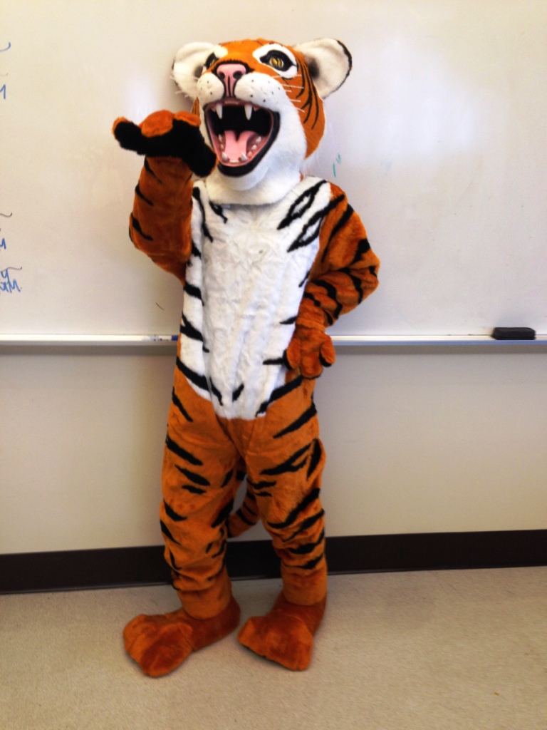 Tiger Mascot Outfit Ideas