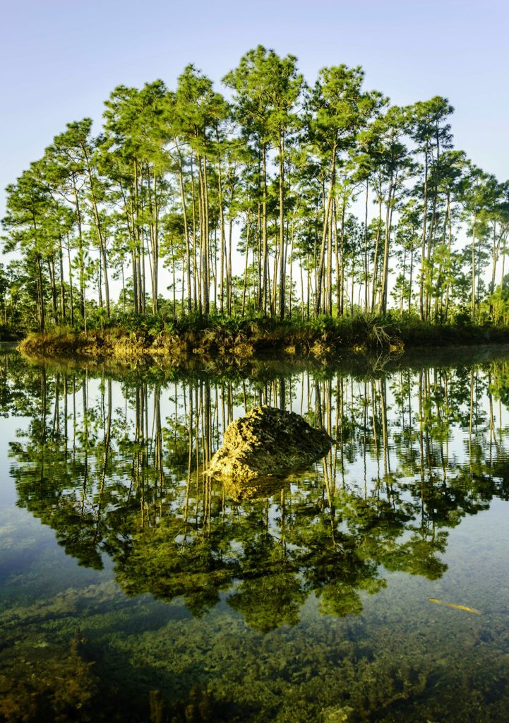 Everglades-10 Best Places To Visit In Florida This Year