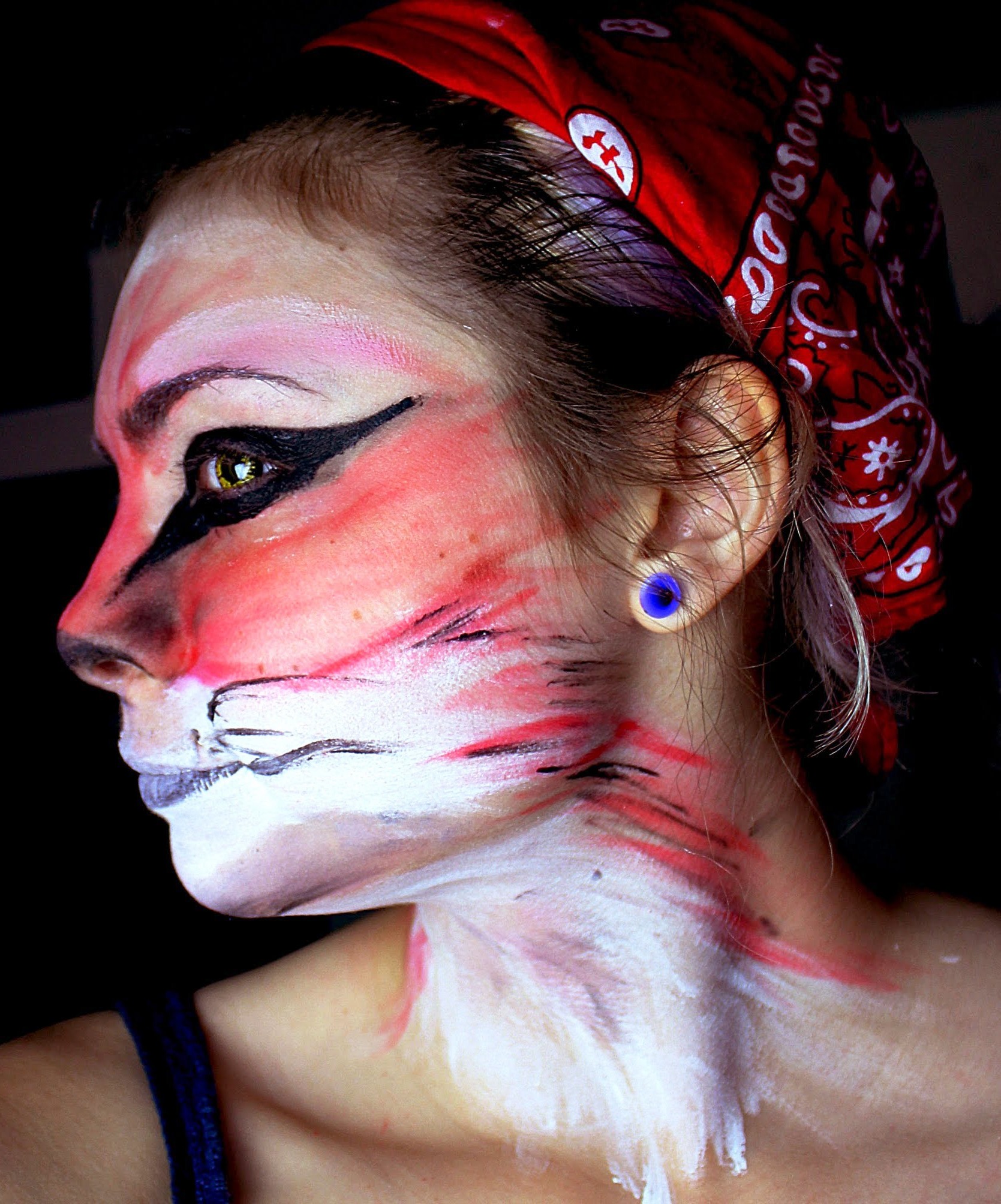 20. Fox Halloween Makeup Ideas
