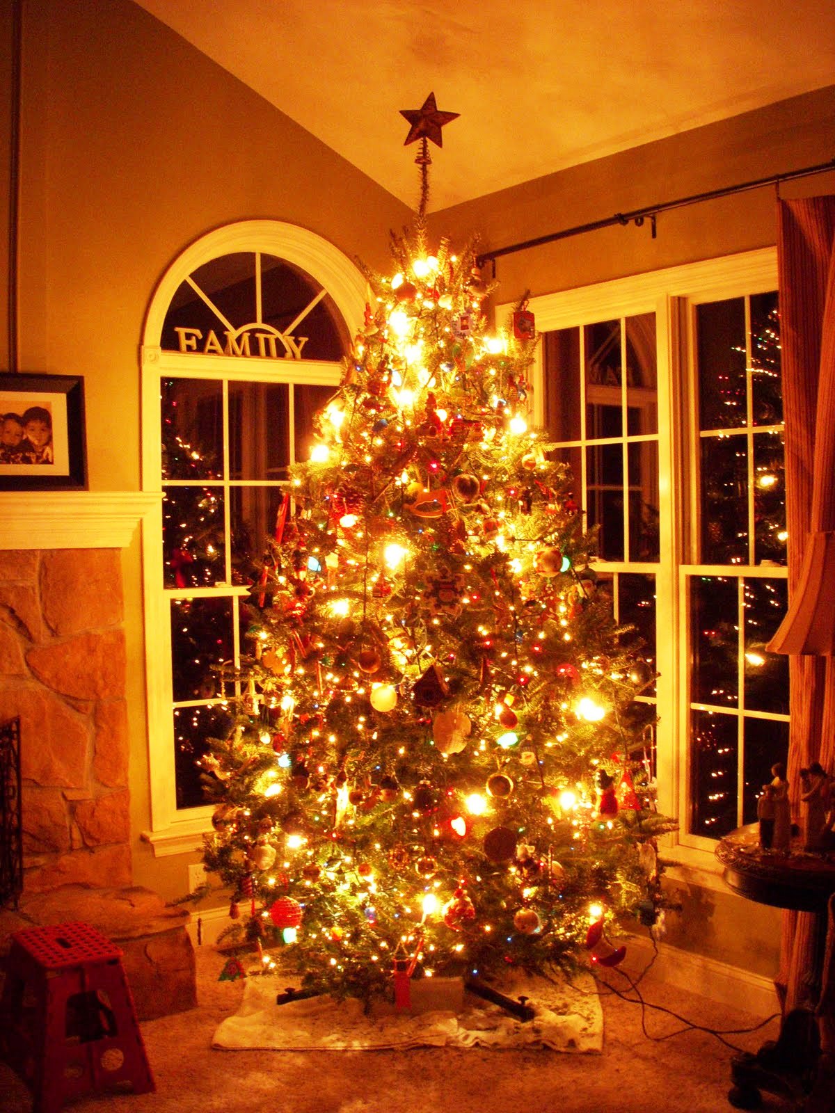 21-Christmas Tree Lights