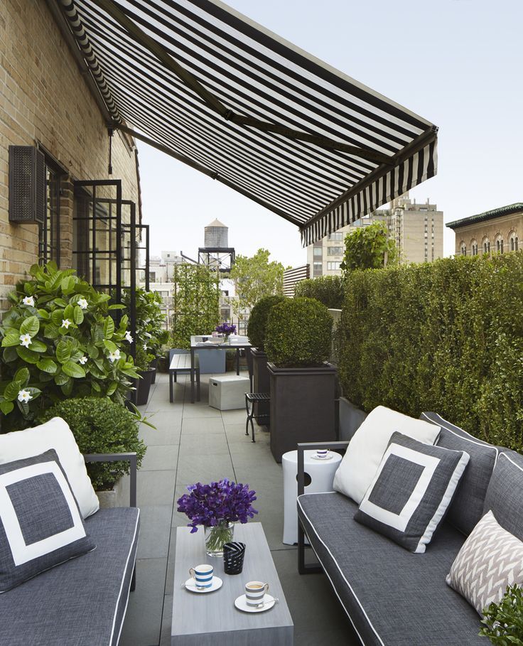 Luxuary Roof Garden Ideas