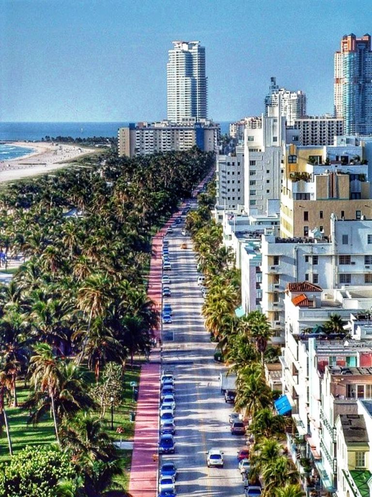Miami-10 Best Places To Visit In Florida This Year