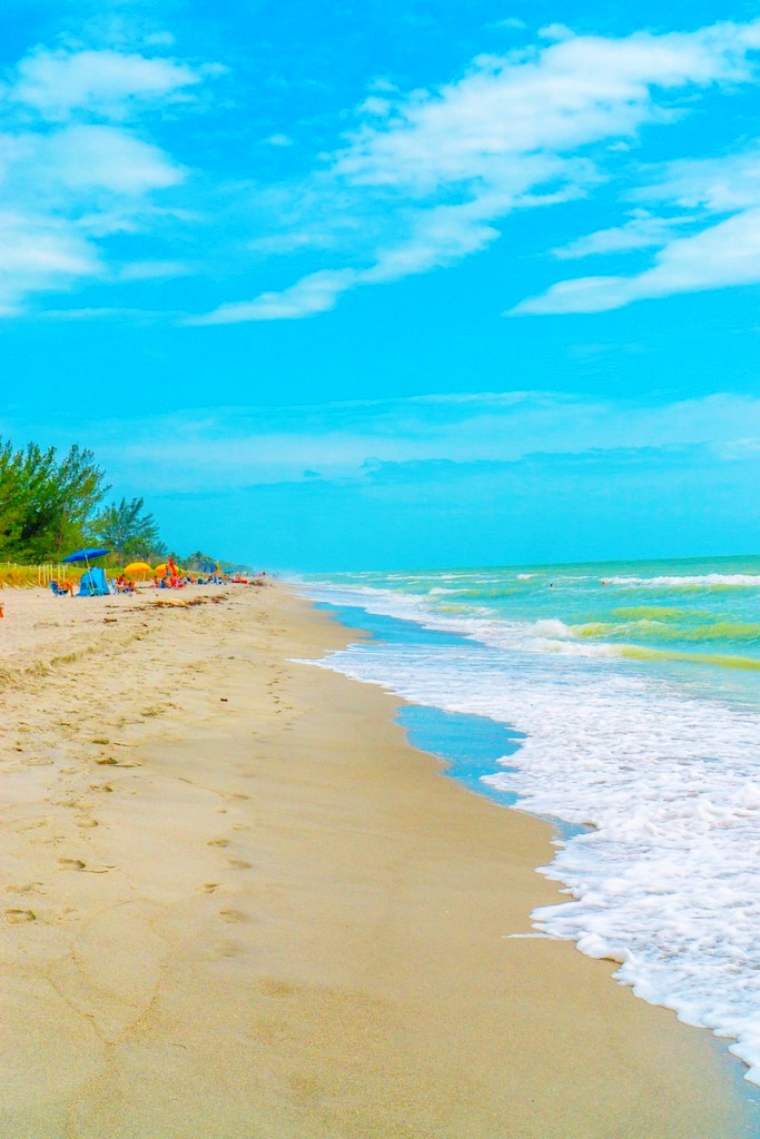 Sanibel Island-10 Best Places To Visit In Florida This Year