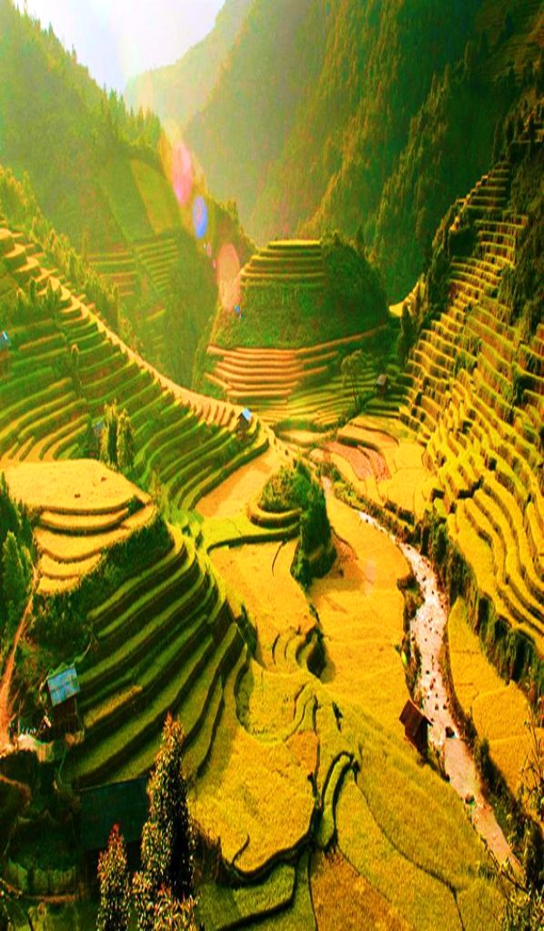 Sapa-10 Best Places To Visit In Vietnam This Year