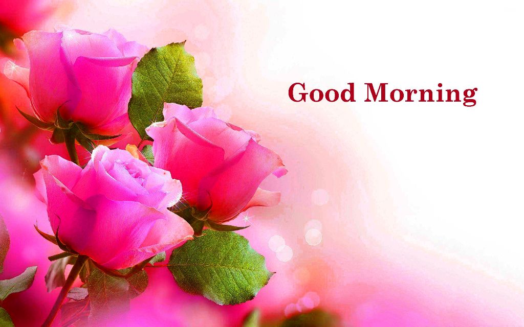 2. Good Morning Images Hd