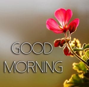 30+ Good Morning Photos, Download Good Morning Photos - Instaloverz